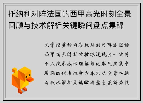 托纳利对阵法国的西甲高光时刻全景回顾与技术解析关键瞬间盘点集锦